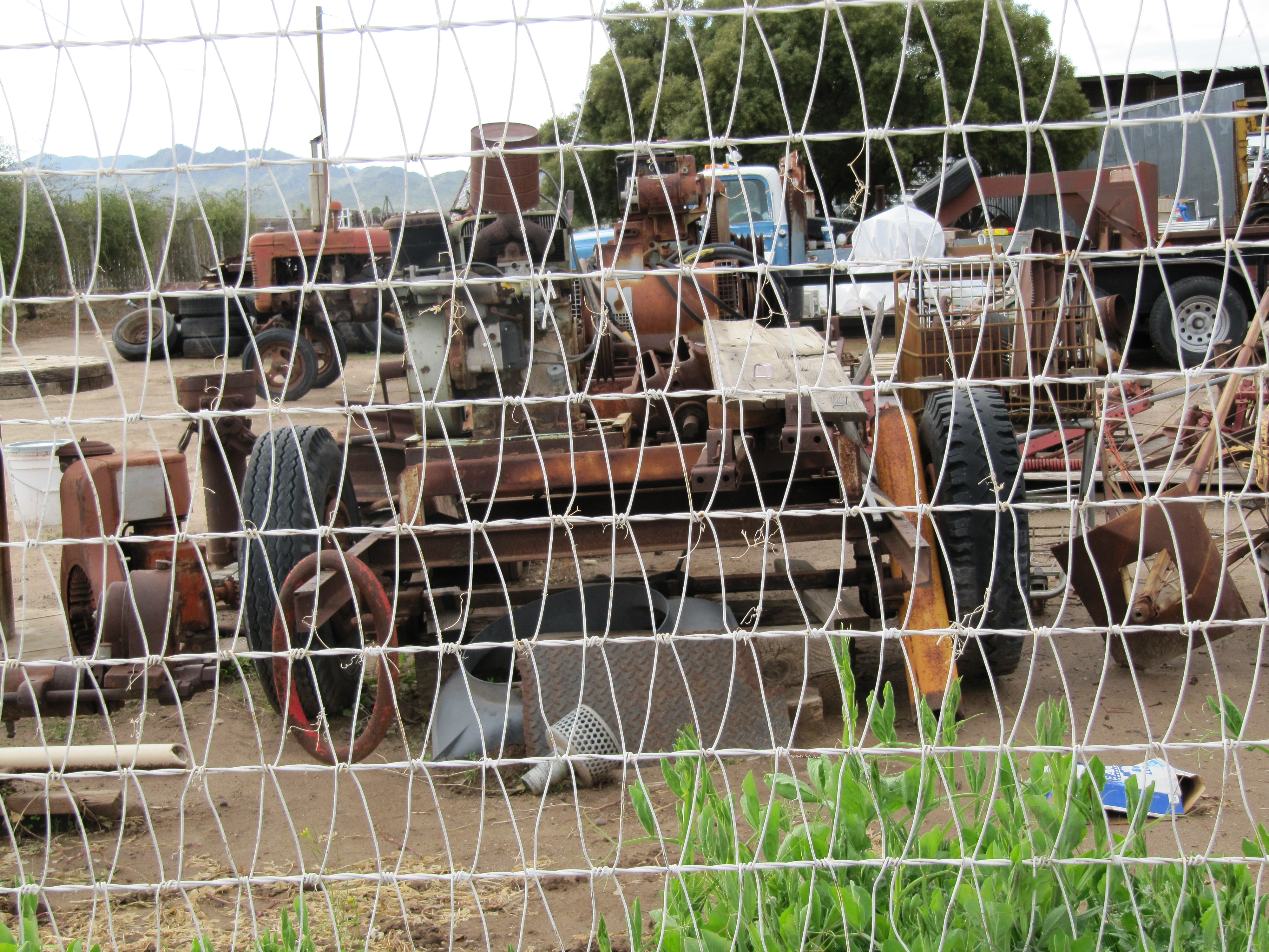 A tractor hides behind a wire linked fence.